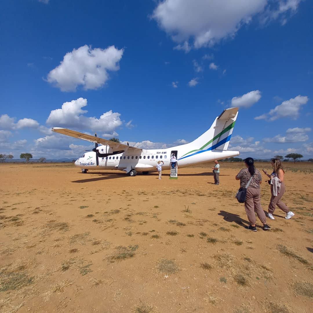 Safari - Image 2