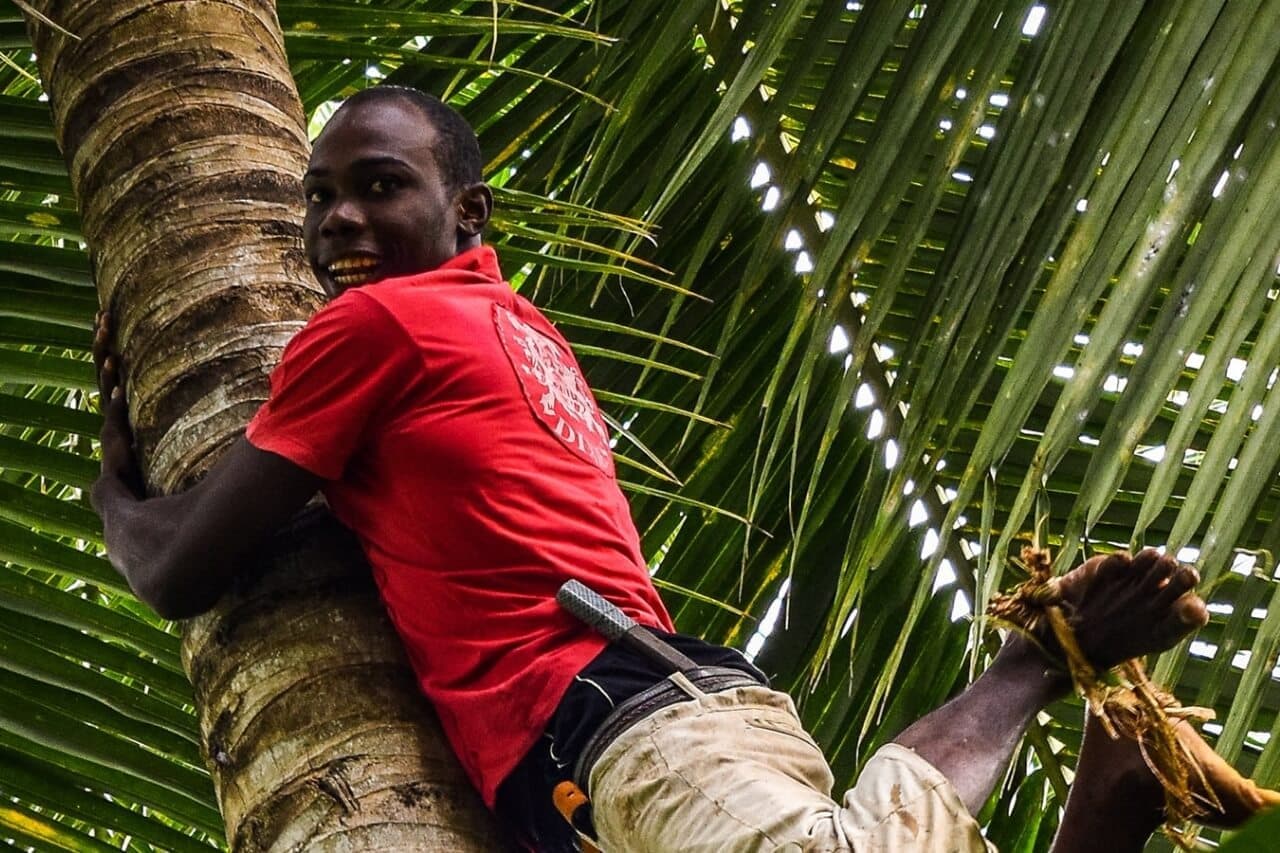 Tour des Épices - Image 1